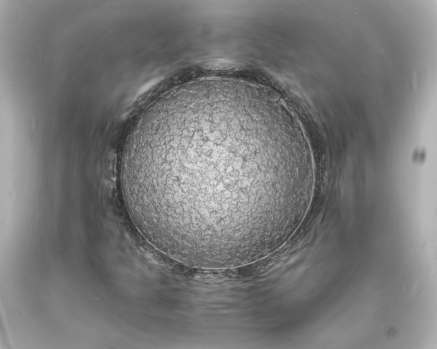 X0000094061301200711021436