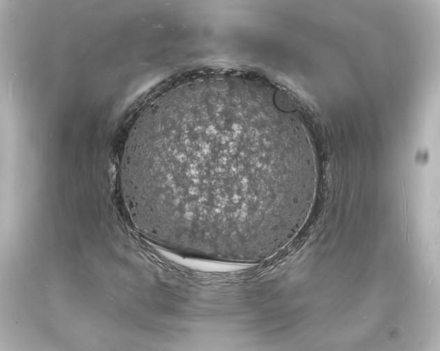 X0000094061302200711021436