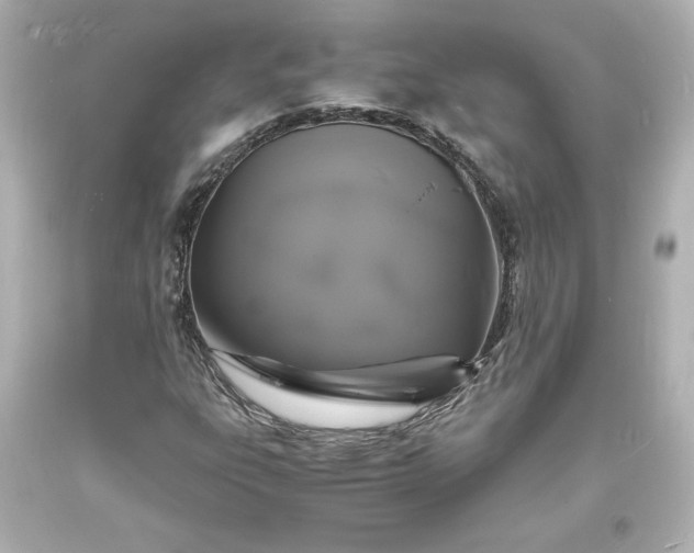 X0000094061303200711021436