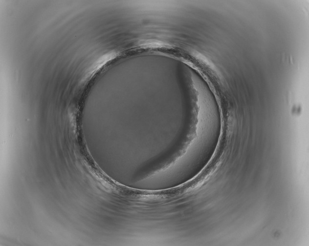X0000094061305200711021436