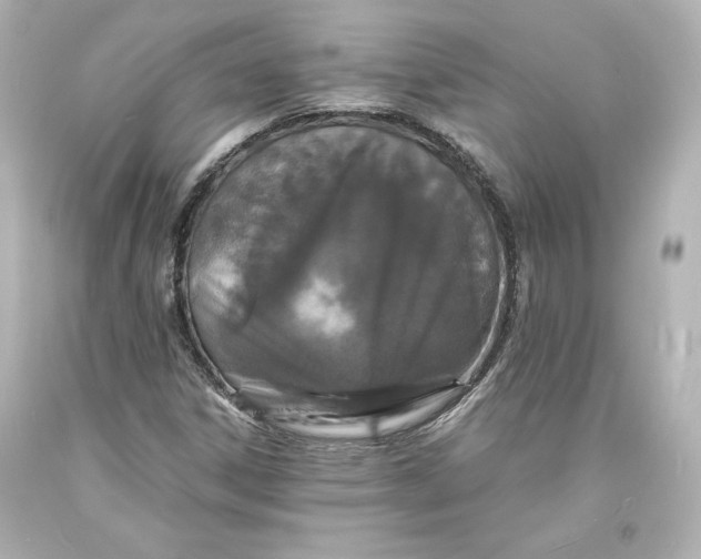 X0000094061306200711021436