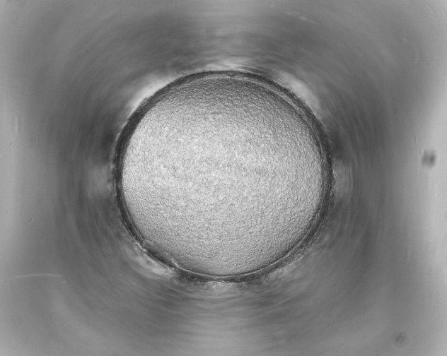 X0000094061308200711021436