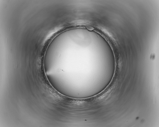 X0000094061309200711021436