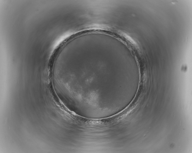 X0000094061310200711021436