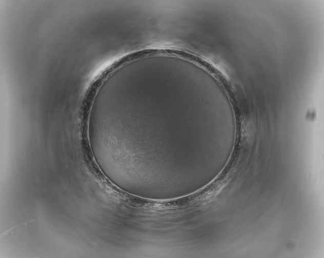 X0000094061311200711021436