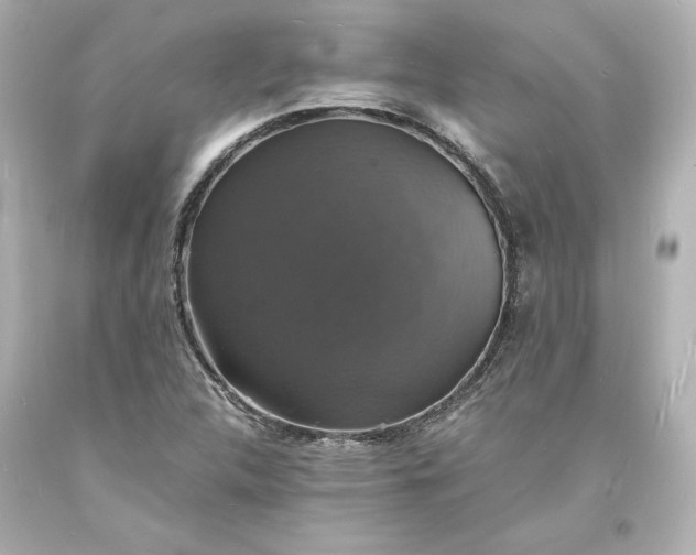 X0000094061312200711021436