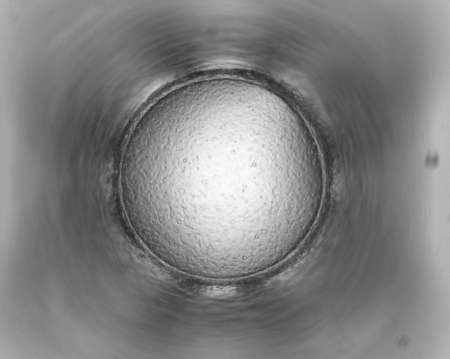 X0000094061313200711021436