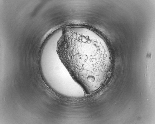 X0000094061314200711021436