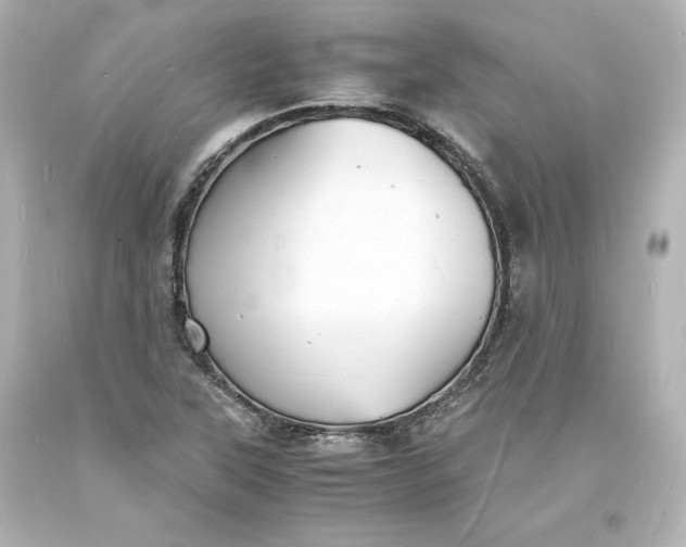 X0000094061315200711021436