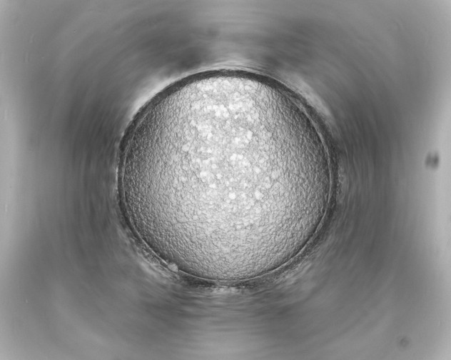 X0000094061316200711021436
