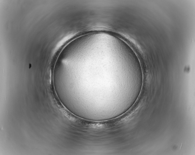 X0000094061317200711021436