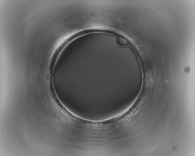 X0000094061319200711021436