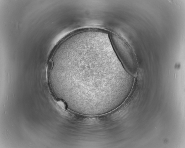 X0000094061320200711021436