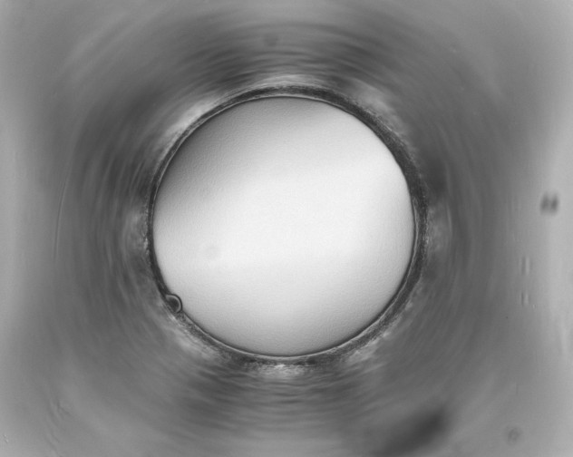 X0000094061321200711021436