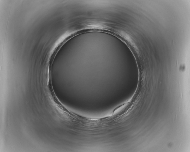 X0000094061323200711021436