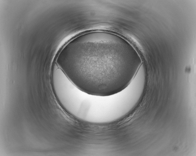 X0000094061324200711021436