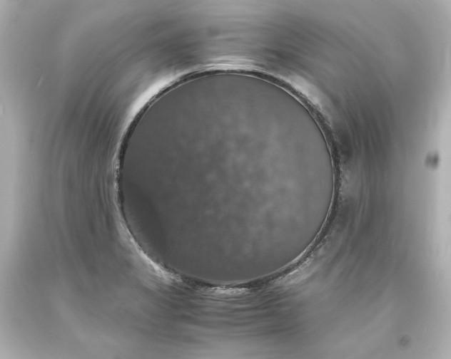 X0000094061325200711021436