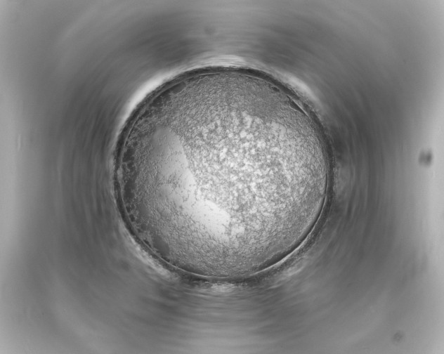 X0000094061326200711021436