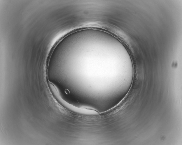 X0000094061328200711021436