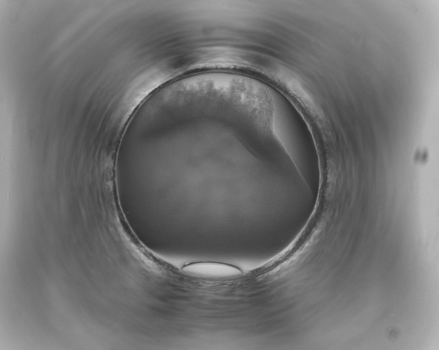 X0000094061329200711021436