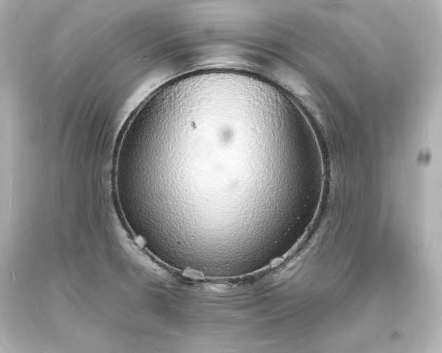 X0000094061330200711021436