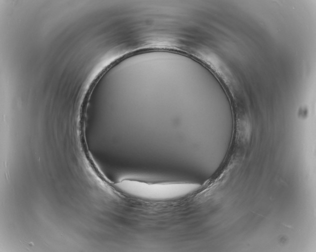 X0000094061331200711021436
