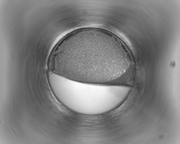 X0000094061332200711021436