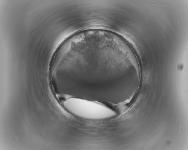 X0000094061333200711021436