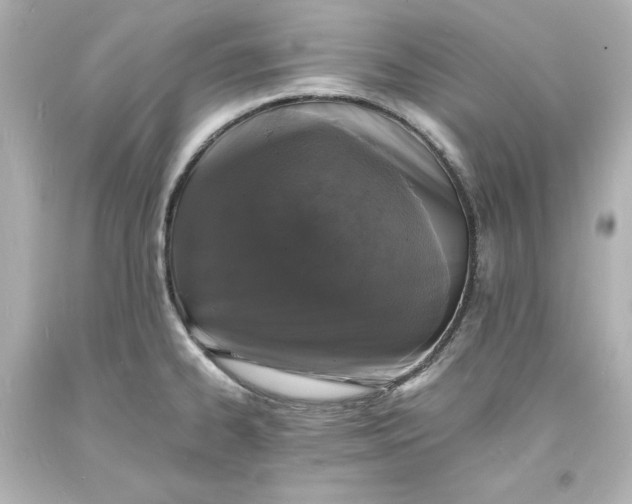 X0000094061334200711021436