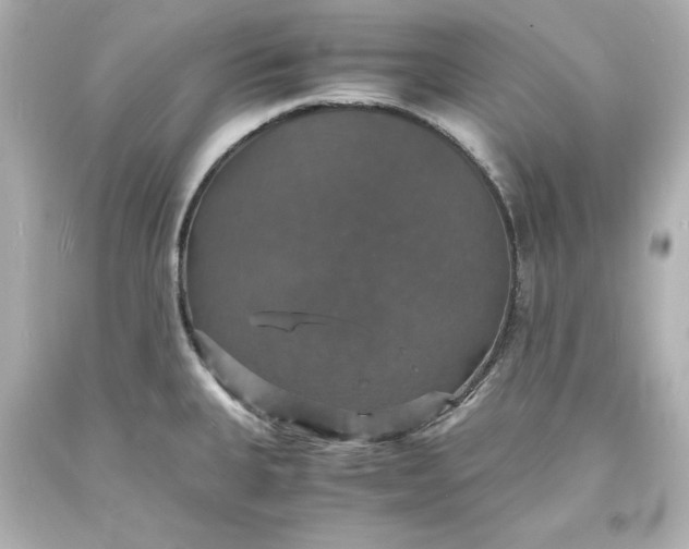 X0000094061335200711021436