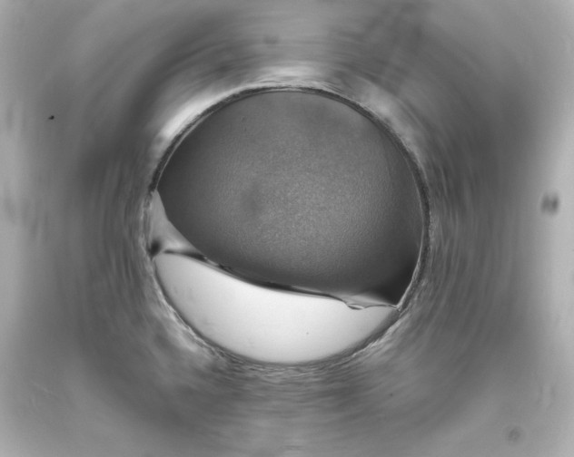 X0000094061336200711021436