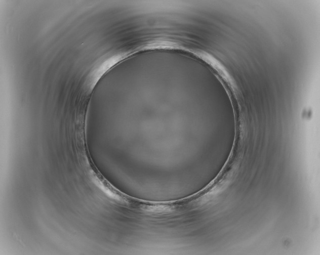 X0000094061337200711021436
