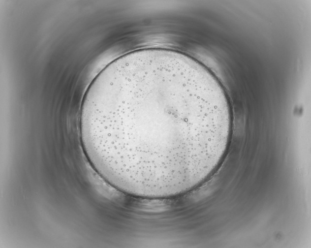 X0000094061338200711021436