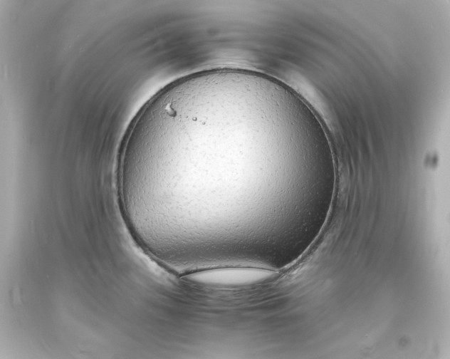 X0000094061339200711021436
