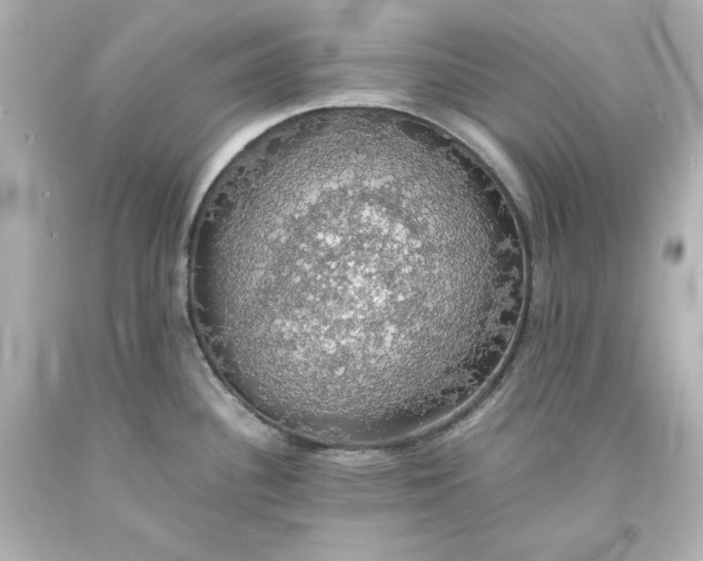 X0000094061340200711021436