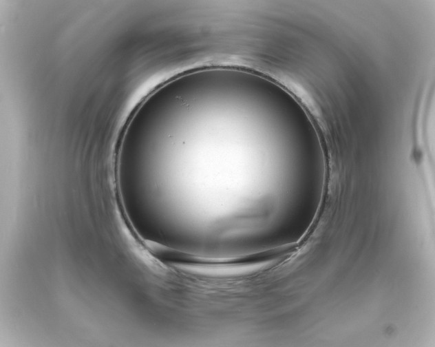 X0000094061342200711021436