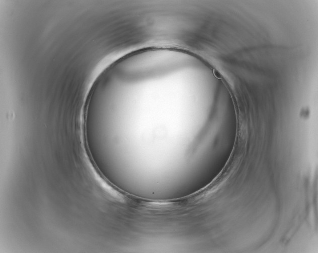 X0000094061343200711021436