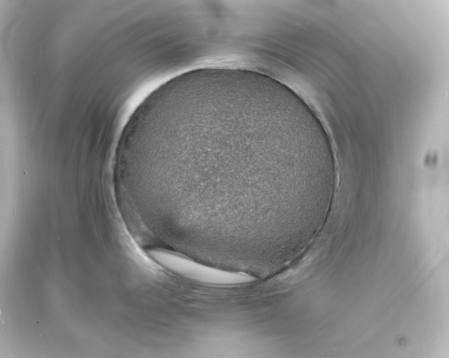 X0000094061344200711021436