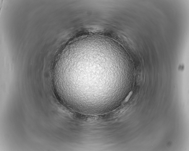 X0000094061345200711021436