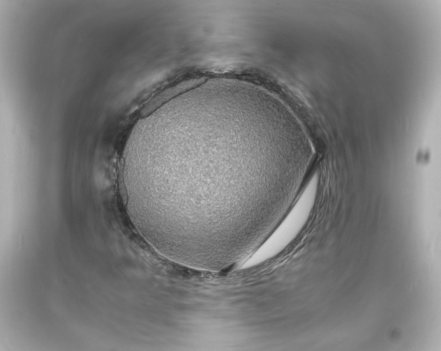 X0000094061349200711021436