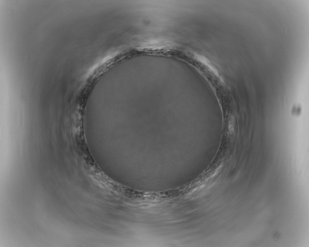 X0000094061350200711021436