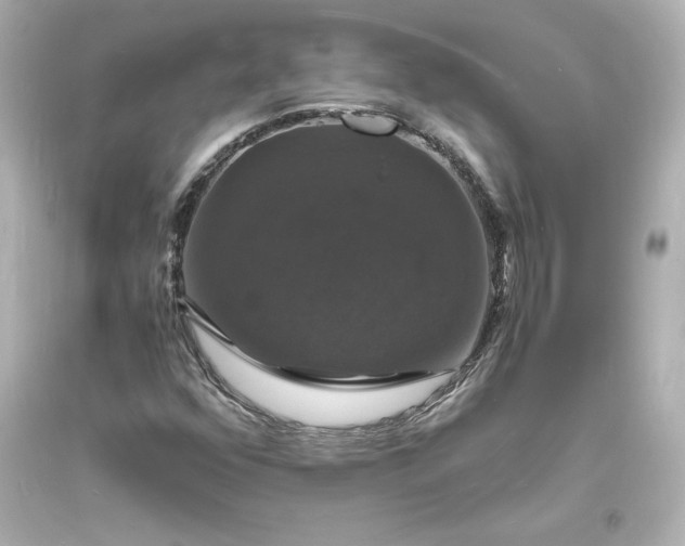 X0000094061352200711021436