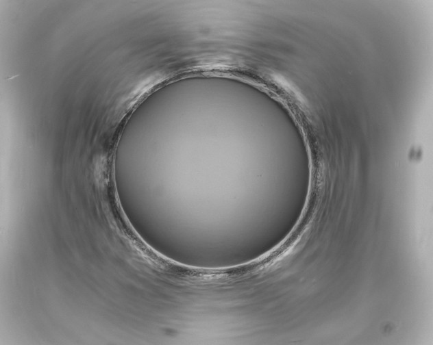 X0000094061353200711021436