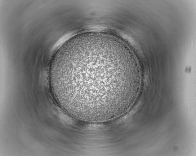 X0000094061354200711021436