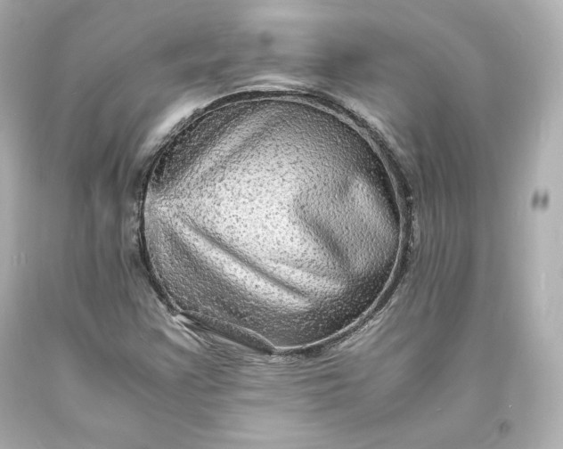 X0000094061355200711021436