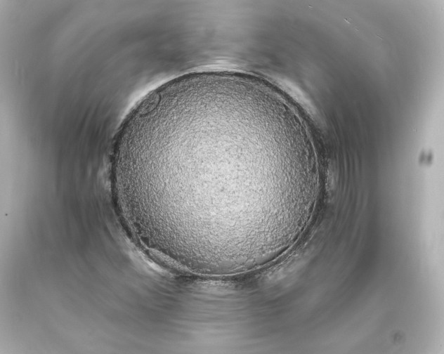 X0000094061356200711021436
