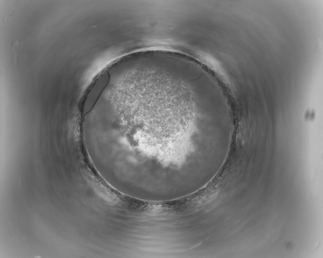 X0000094061360200711021435