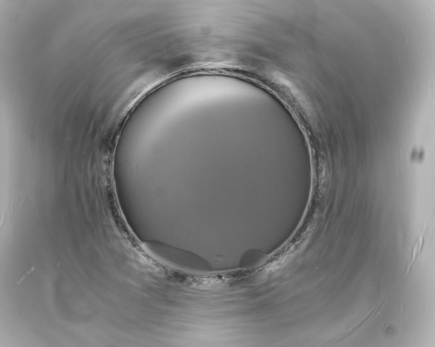 X0000094061361200711021435