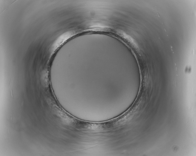 X0000094061362200711021435