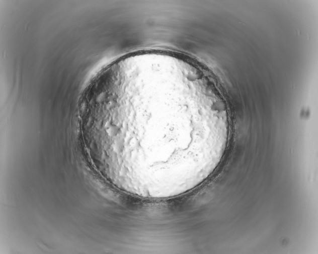 X0000094061363200711021435